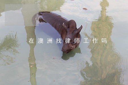 在澳洲找律师工作吗 在澳洲找律师工作吗