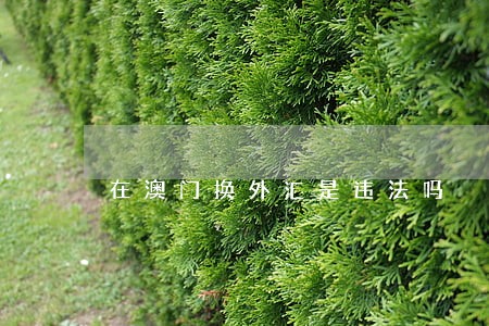 在澳门换外汇是违法吗 在澳门换外汇是违法吗