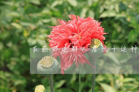 在燕郊这群人居然干这种违法的事 在燕郊这群人居然干这种违法的事