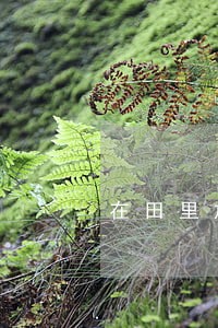 在田里放集装箱违法吗 在田里放集装箱违法吗