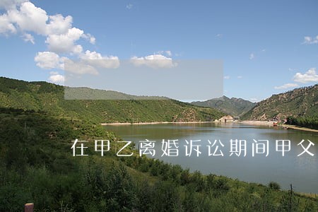 在甲乙离婚诉讼期间甲父 在甲乙离婚诉讼期间甲父