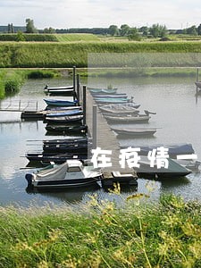 在疫情一线的助理员
