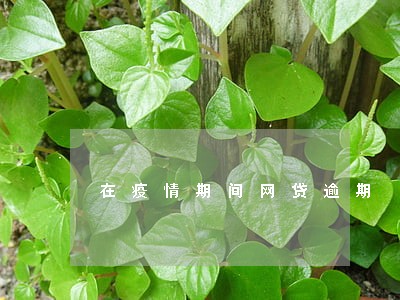 在疫情期间网贷逾期 在疫情期间网贷逾期