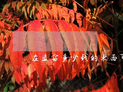 在盗窃多少钱的东西可以拘留