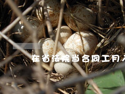 在省法院当合同工月入300