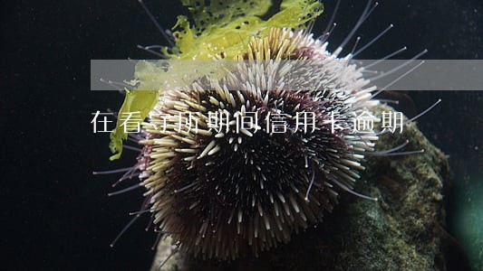 在看守所期间信用卡逾期 在看守所期间信用卡逾期
