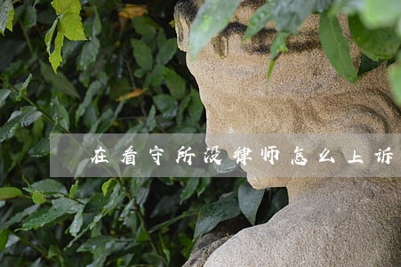 在看守所没律师怎么上诉 在看守所没律师怎么上诉