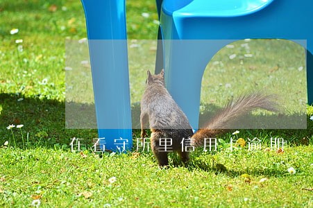 在看守所里信用卡逾期