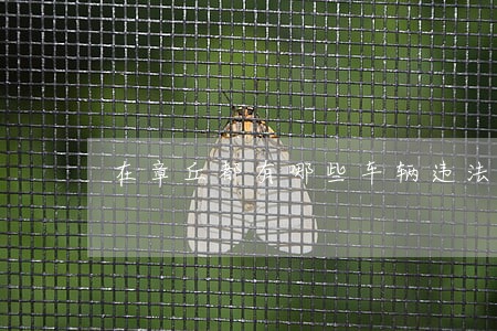 在章丘都有哪些车辆违法了