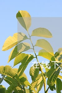 在线下推广网站发传单违法吗