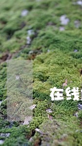 在线债权债务纠纷律师费是多少 在线债权债务纠纷律师费是多少