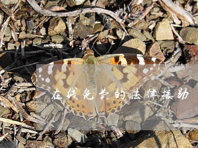 在线免费的法律援助 在线免费的法律援助