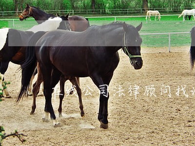 在线公司法律顾问找谁好 在线公司法律顾问找谁好