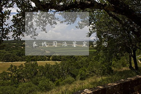在线司法鉴定咨询