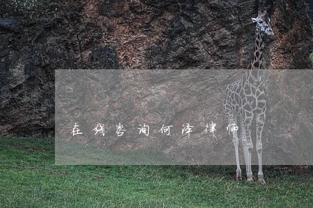 在线咨询何泽律师 在线咨询何泽律师