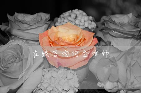 在线咨询何金律师 在线咨询何金律师