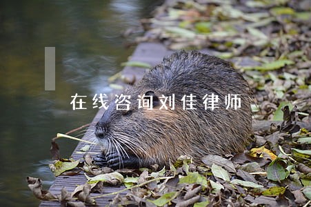 在线咨询刘佳律师 在线咨询刘佳律师