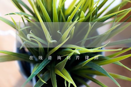 在线咨询刘芹律师 在线咨询刘芹律师