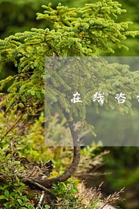 在线咨询劳动律师费用 在线咨询劳动律师费用