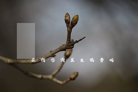 在线咨询医生收费吗 在线咨询医生收费吗