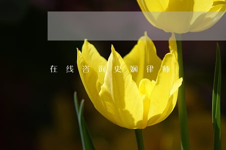 在线咨询史娴律师 在线咨询史娴律师