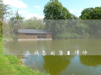 在线咨询唐祺律师 在线咨询唐祺律师