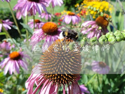 在线咨询孟媛律师 在线咨询孟媛律师