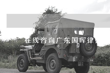在线咨询广东国晖律师
