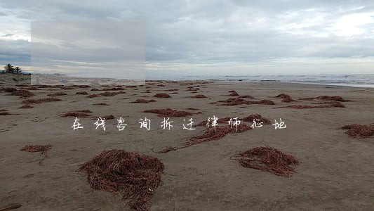 在线咨询拆迁律师征地 在线咨询拆迁律师征地