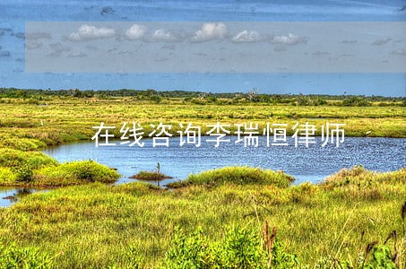 在线咨询李瑞恒律师