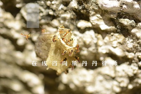在线咨询熊丹丹律师 在线咨询熊丹丹律师