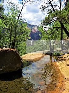 在线咨询王雷律师