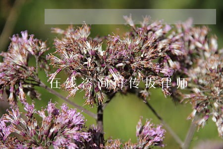 在线咨询符传拔律师 在线咨询符传拔律师