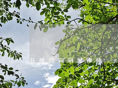 在线咨询胡昊律师 在线咨询胡昊律师