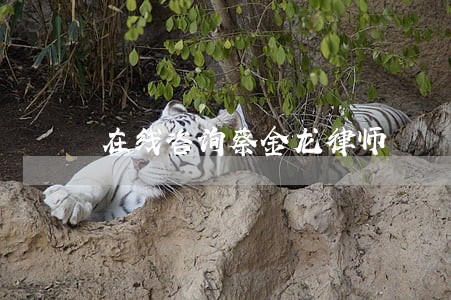 在线咨询蔡金龙律师