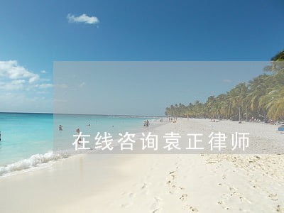 在线咨询袁正律师 在线咨询袁正律师