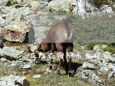 在线咨询邓东生律师 在线咨询邓东生律师