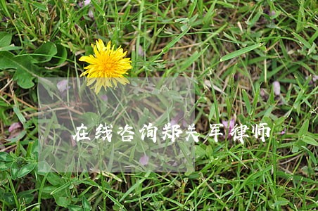 在线咨询郑关军律师 在线咨询郑关军律师