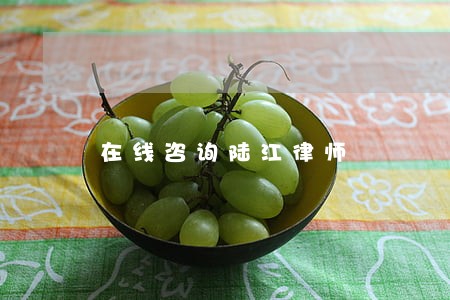 在线咨询陆江律师 在线咨询陆江律师
