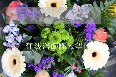在线咨询陈云华律师 在线咨询陈云华律师