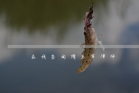 在线咨询隋玉军律师 在线咨询隋玉军律师