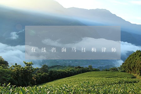 在线咨询马红梅律师 在线咨询马红梅律师