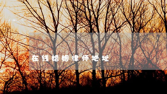 在线婚姻律师地址 在线婚姻律师地址