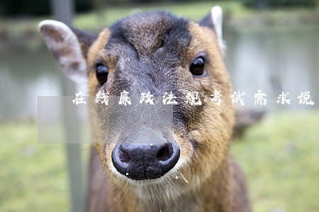 在线廉政法规考试需求说明