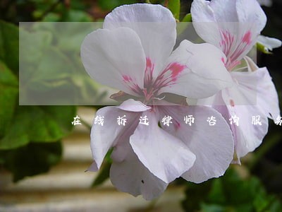 在线拆迁律师咨询服务 在线拆迁律师咨询服务
