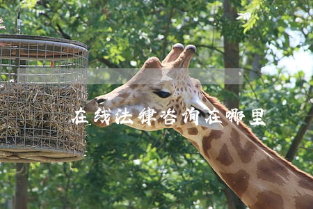 在线法律咨询在哪里 在线法律咨询在哪里