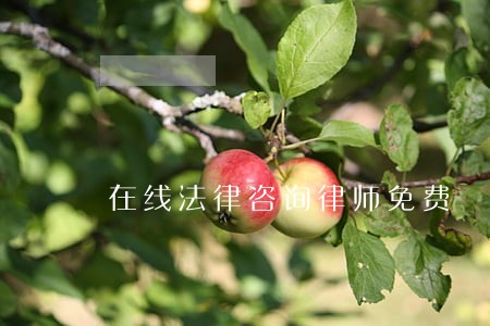 在线法律咨询律师免费 在线法律咨询律师免费