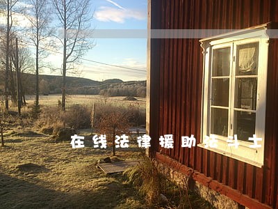在线法律援助法斗士
