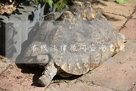 在线法律顾问咨询费用 在线法律顾问咨询费用