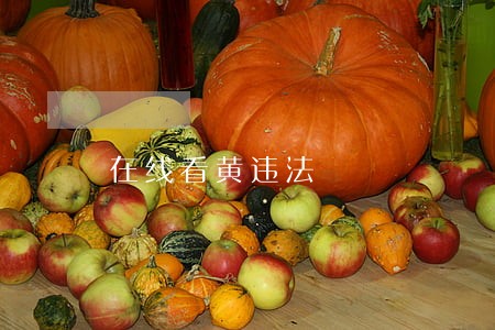 在线看黄违法